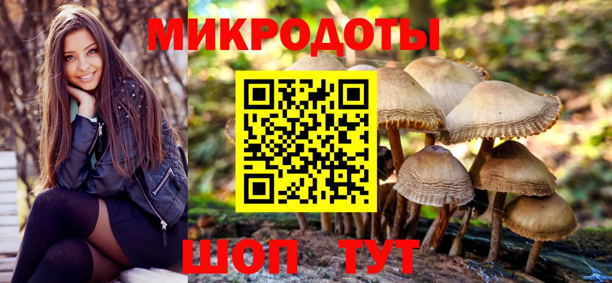Псилоцибиновые грибы Psilocybine cubensis  Вход с VPN  Асино 