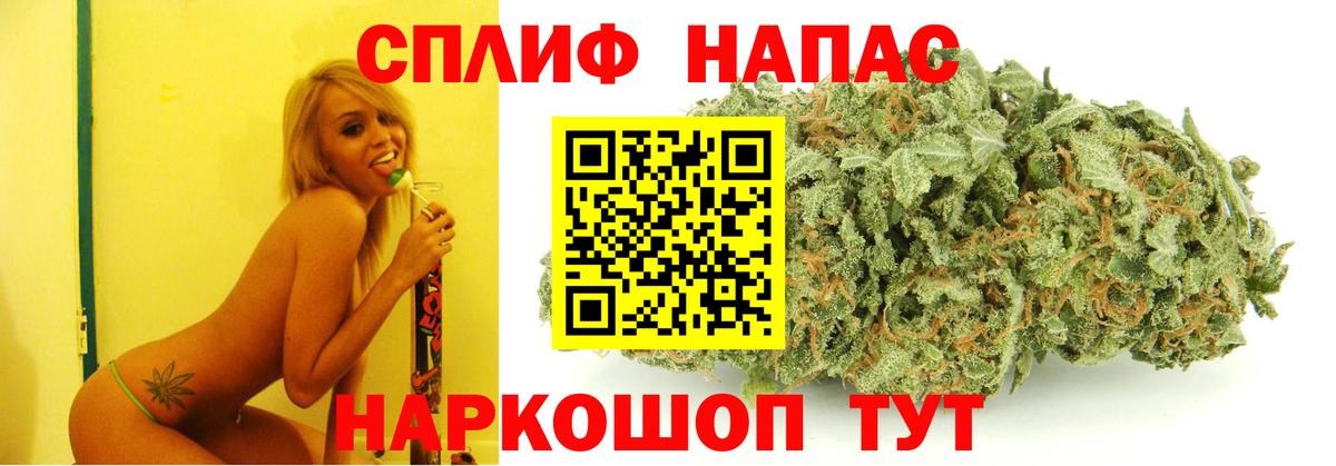 Марихуана гибрид Асино